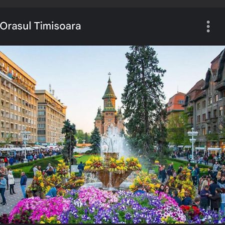 Apartament Lux Crialy - 75 M2 - Free Parking Timisoara Esterno foto