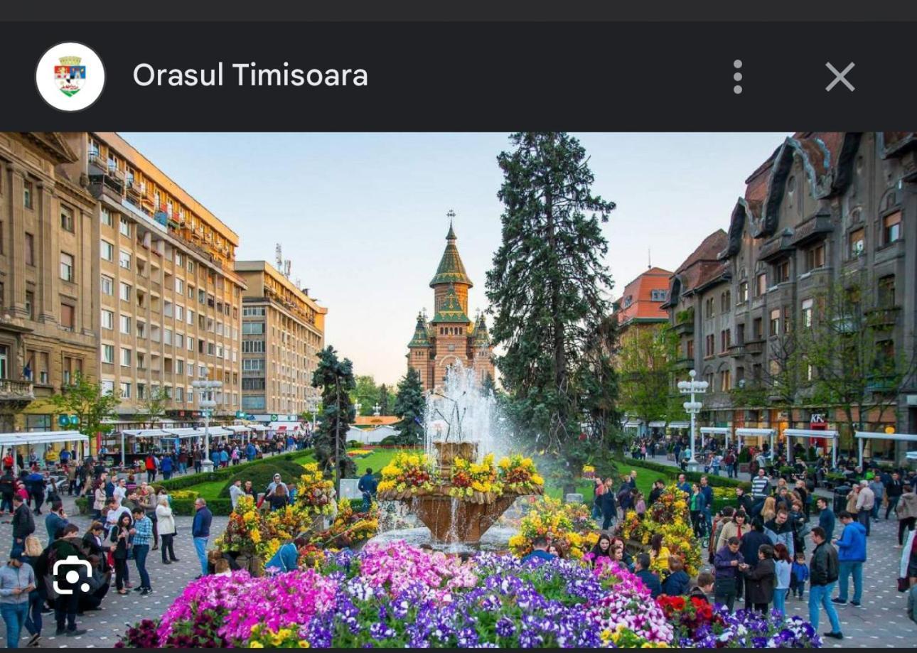 Apartament Lux Crialy - 75 M2 - Free Parking Timisoara Esterno foto